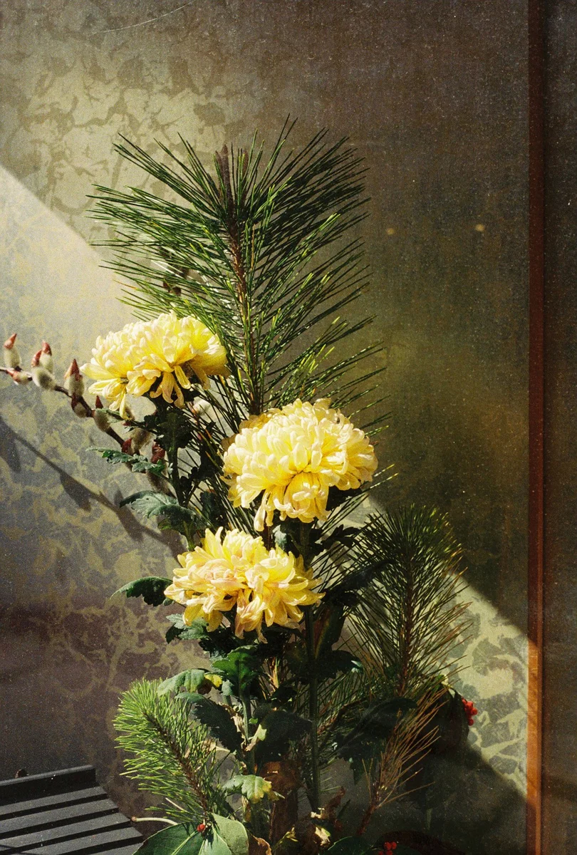 29
